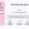 Resmi büyüt: certificate 13