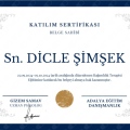 Resmi büyüt: certificate 2