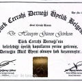 Resmi büyüt: certificate 5