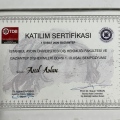 Resmi büyüt: certificate 1