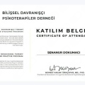 Resmi büyüt: certificate 3
