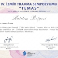 Resmi büyüt: certificate 15