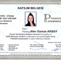 Resmi büyüt: certificate 28