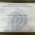 Resmi büyüt: certificate 11