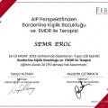 Resmi büyüt: certificate 1