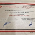 Resmi büyüt: certificate 11