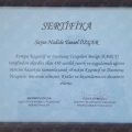 Resmi büyüt: certificate 3