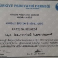 Resmi büyüt: certificate 4