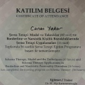 Resmi büyüt: certificate 5