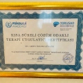Resmi büyüt: certificate 5