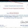 Resmi büyüt: certificate 24