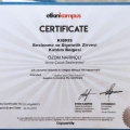 Resmi büyüt: certificate 15