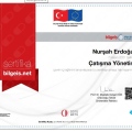Resmi büyüt: certificate 11