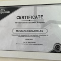 Resmi büyüt: certificate 8