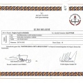 Resmi büyüt: certificate 11