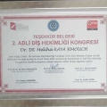 Resmi büyüt: certificate 2