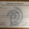 Resmi büyüt: certificate 3