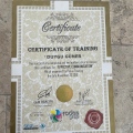 Resmi büyüt: certificate 21