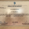 Resmi büyüt: certificate 3