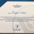 Resmi büyüt: certificate 1