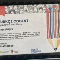 Resmi büyüt: certificate 1