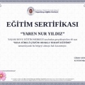 Resmi büyüt: certificate 3
