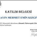 Resmi büyüt: certificate 23