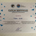 Resmi büyüt: certificate 22