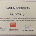 Resmi büyüt: certificate 5