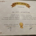 Resmi büyüt: certificate 9