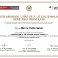 Resmi büyüt: certificate 3