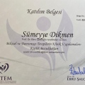 Resmi büyüt: certificate 3