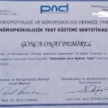 Resmi büyüt: certificate 5