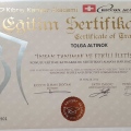 Resmi büyüt: certificate 9