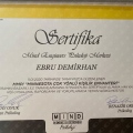 Resmi büyüt: certificate 10