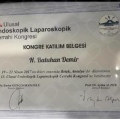 Resmi büyüt: certificate 10