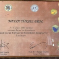 Resmi büyüt: certificate 14