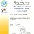 Resmi büyüt: certificate 86
