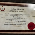 Resmi büyüt: certificate 2