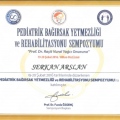 Resmi büyüt: certificate 40