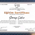 Resmi büyüt: certificate 8
