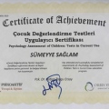 Resmi büyüt: certificate 9