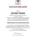 Resmi büyüt: certificate 8
