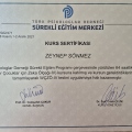 Resmi büyüt: certificate 9