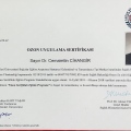 Resmi büyüt: certificate 27