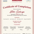 Resmi büyüt: certificate 1