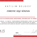 Resmi büyüt: certificate 20
