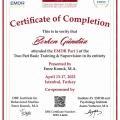 Resmi büyüt: certificate 3