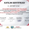 Resmi büyüt: certificate 2