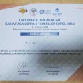 Resmi büyüt: certificate 8